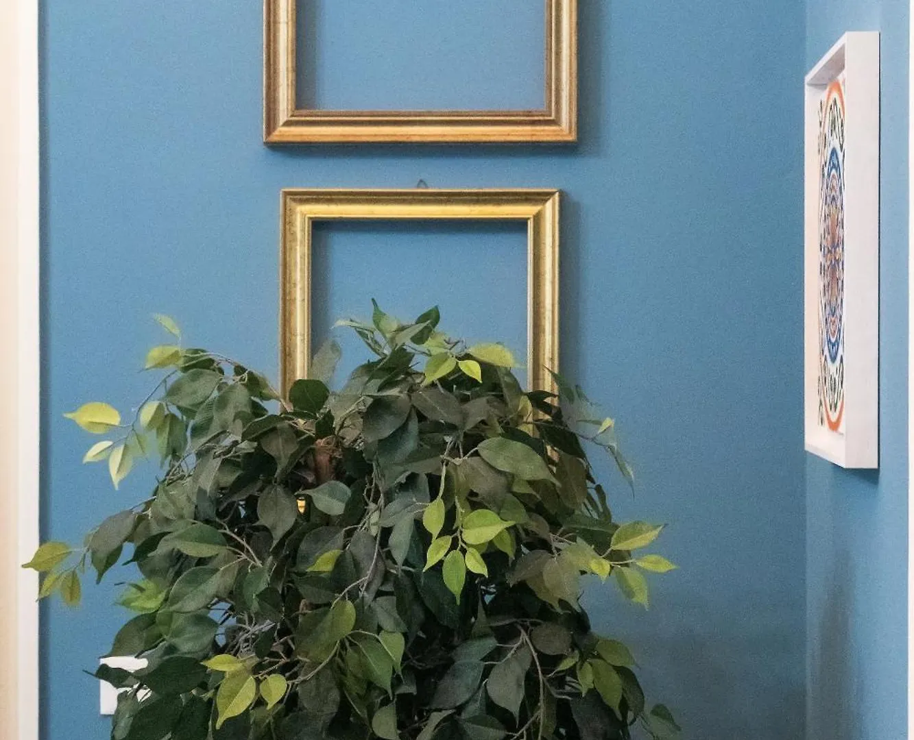 B&B Casa Mo Palermo Bed and breakfast